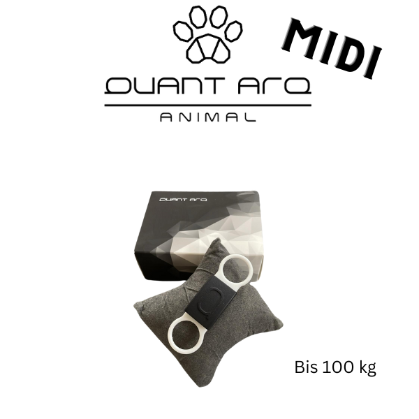 QUANT ARQ Animal Midi